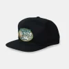 Bass Brains Swim Snapback